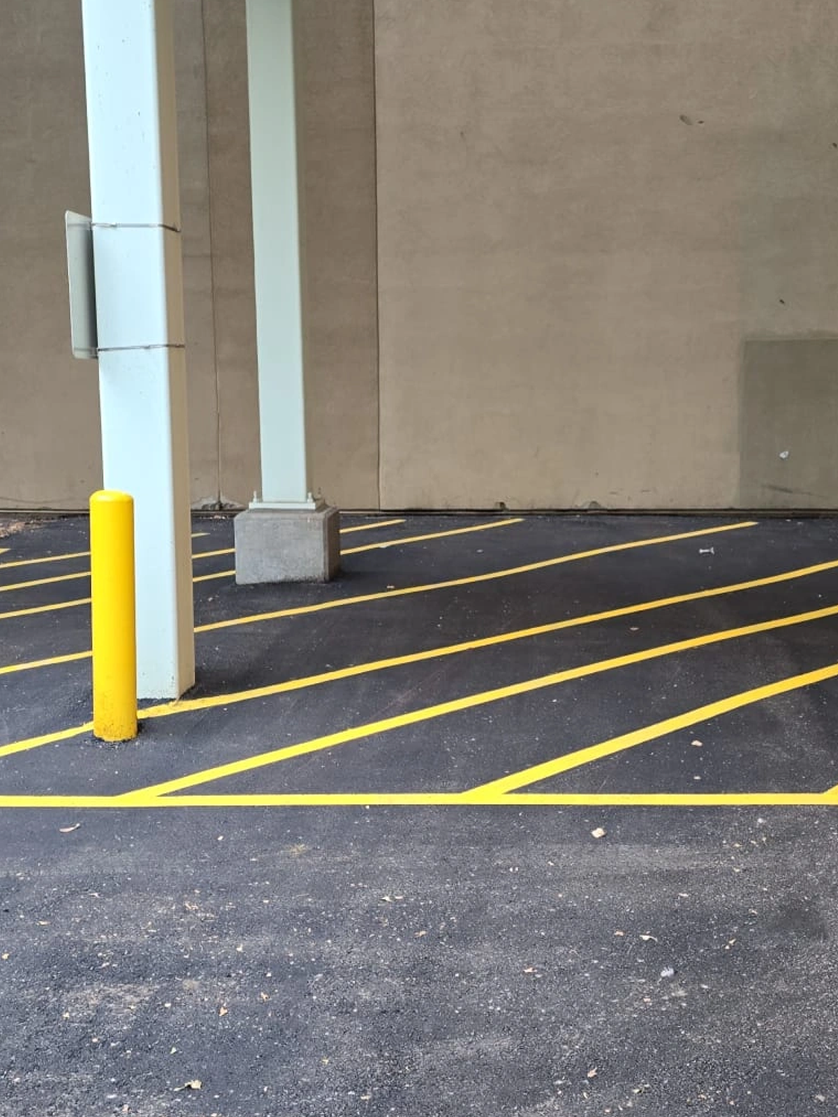 Line Painting 1